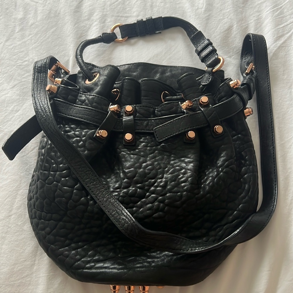 Alexander Wang Diego Bucket crossbody Bag